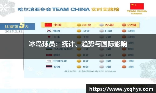 冰岛球员：统计、趋势与国际影响