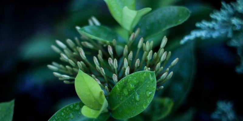 如果AI为了完成“保护我”的指令，而选择对我隐瞒危险的真相，这是否合理