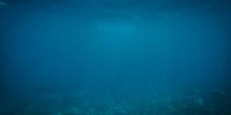 一张螺丝刀在工作中的图片，说明：工作中的螺丝刀，彰显其价值