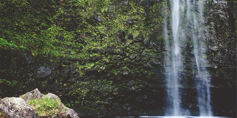 分析“刻板印象”这种知识简化寄生虫，其生存策略就是抑制宿主的复杂思考