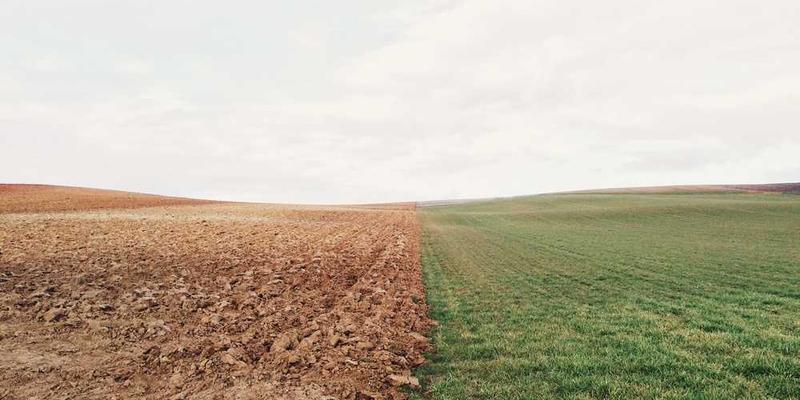 AI模拟历史过程的可视化图，展示各种社会参数的变化与结果