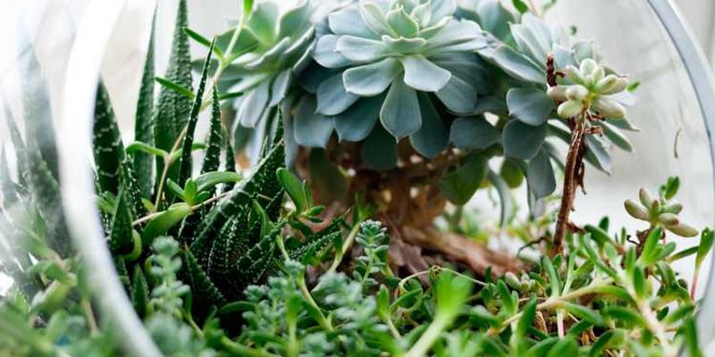 为一部只有文字描述的无声电影，在脑海中配乐和设计音效