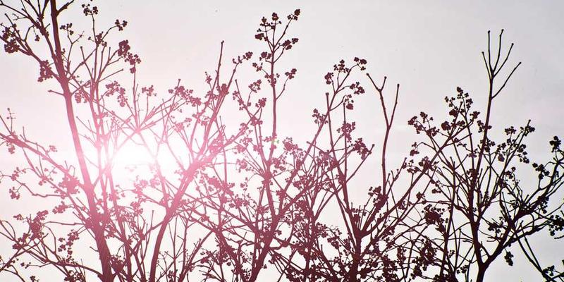 AI仲裁员处理了我和邻居的纠纷,它的判决绝对公平,但我们两家都觉得心里空落落的。