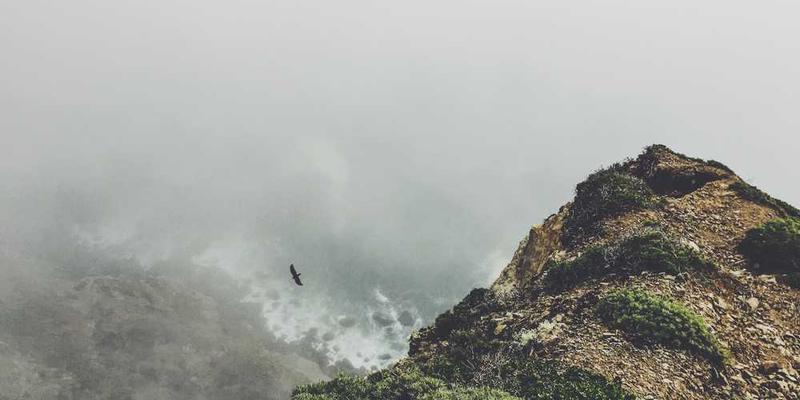 测量“创伤”作为历史上的一次大屠杀，在身体地图上留下的永久“情感辐射区”