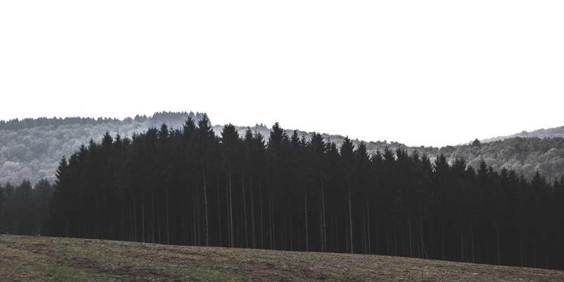 闭上眼睛，让他人用语言精确描述一件物品的形状，你仅凭听觉在脑中建模