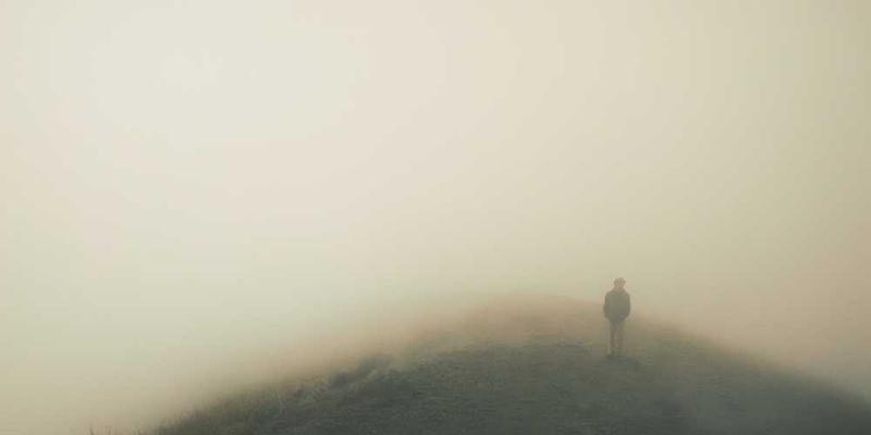 马德里中央市场，顾客在各个摊位挑选美食，品尝西班牙美食