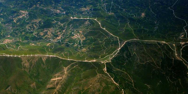 一位消费者在一家生活品味店选购商品，周围摆放着各种生活方式相关的书籍、装饰品等。
