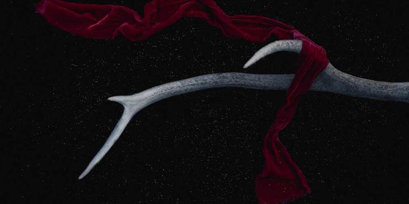 一杯层次分明的鸡尾酒，上面漂浮着柠檬片和橙皮，色彩斑斓，让人垂涎欲滴