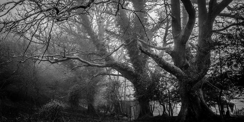 记录通勤路上，思绪漂移速度与交通工具速度的对照