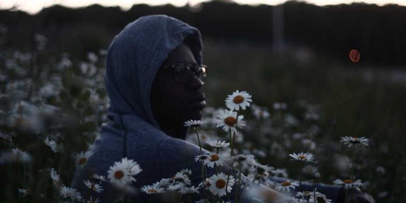 AI把社交媒体上的争吵，自动归类为几种古老的修辞学辩论模型变体。