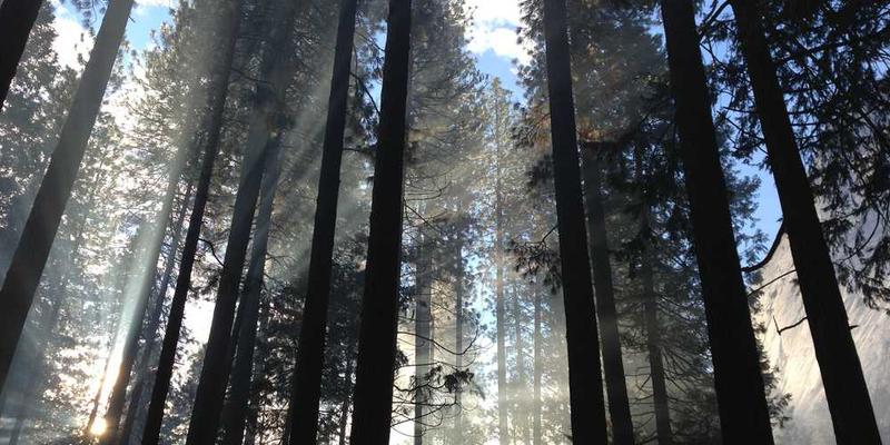 规划工作与生活的场景