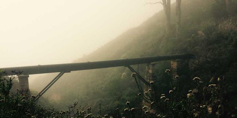 探险家在森林中冒险的场景，神秘城堡的轮廓在雾气中若隐若现