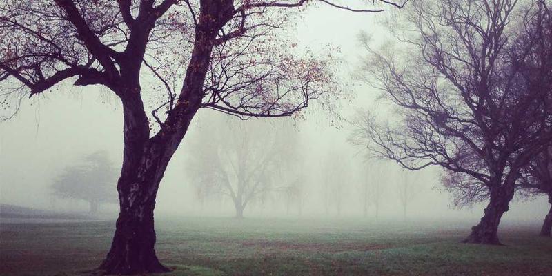 三张咖啡店的照片，分别展示了猫的天空之城、Manner和星巴克的内部环境，配以简洁的文字描述，如“猫的天空之城文艺范儿十足”、“Manner简约大气，座位独立”、“星巴克现代感十足，座位多样”