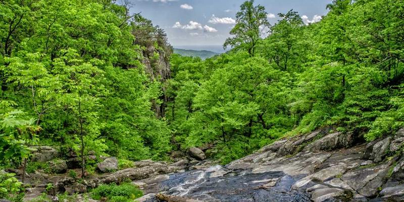 煮粥过程中粥油形成的瞬间