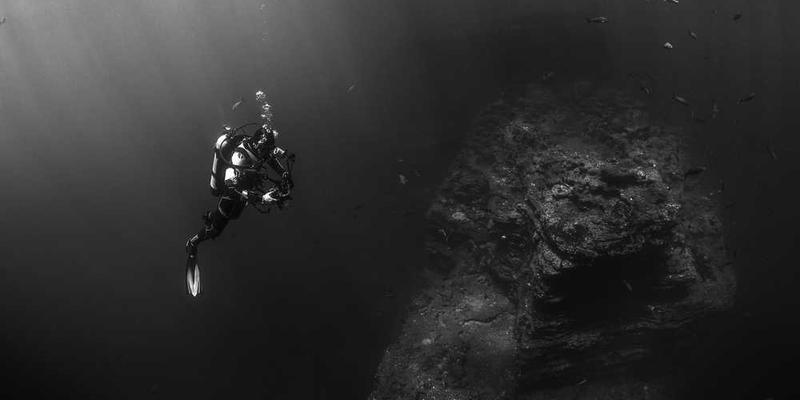 一只毛茸茸的小熊玩偶，背景是家族照片墙