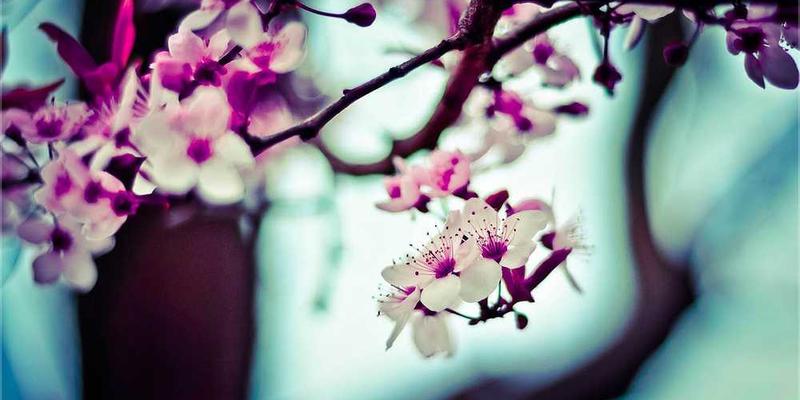 为长期压抑真实感受的日记，做一次“情感纤维化”的扫描