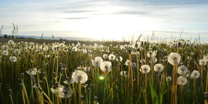 用食物的烹饪过程（煎炒烹炸）来隐喻不同的创作或问题解决方式