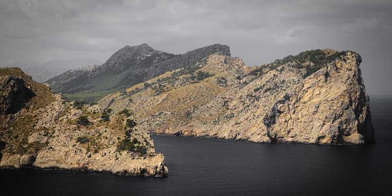 一位游客在当地的咖啡馆中享受下午茶时光，周围摆满了各种书籍和艺术品，窗外是繁忙的街头景象，反映出本地人的生活氛围