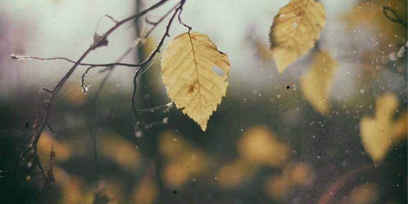 分析初次见面握手时，除力度、时长外，那无法言说的“印象暗物质”交换