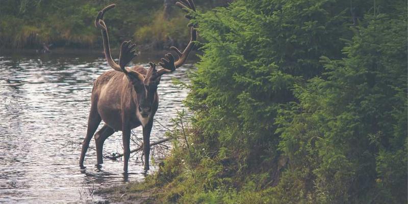 领域一：反向操作学 (对常规行为的系统性逆反)