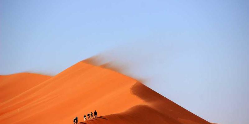 向度五：信息代谢生态学（审视信息摄入与排出的循环）