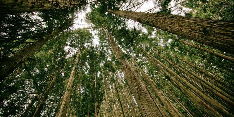 情侣相视微笑，背景是夕阳下的城市风光。说明：这幅图展示了情侣间的甜蜜互动，象征了长久稳定关系中的甜蜜时光，同时也预示了要努力维护这段情感的决心和希望