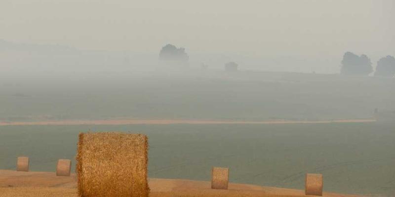 说明：一张作者独自在床前的照片，背景是温暖的灯光，营造出温馨的氛围