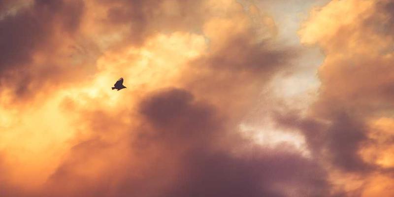 暴雨中高速公路的休息站：被雨幕隔绝成孤岛的临时社群。