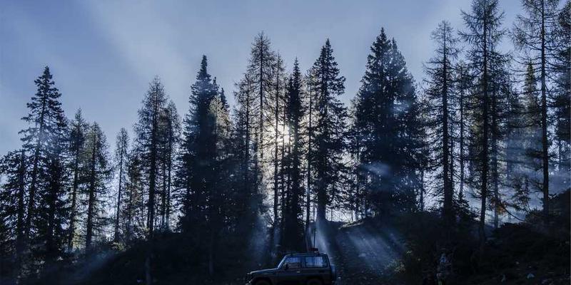 记录从得知一个好消息到心情平复，这段时间在感觉上的“弹性系数”