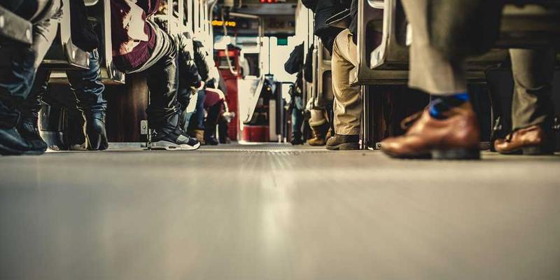 观察猫咪胡须在探测空间时，那几乎不可见的精准颤动