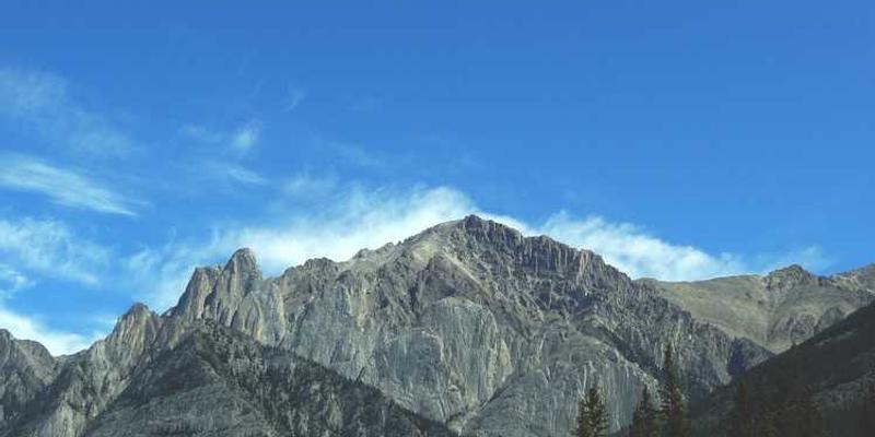 烘焙灾难实物标本：包括但不限于砖头面包、火山熔岩蛋糕等。