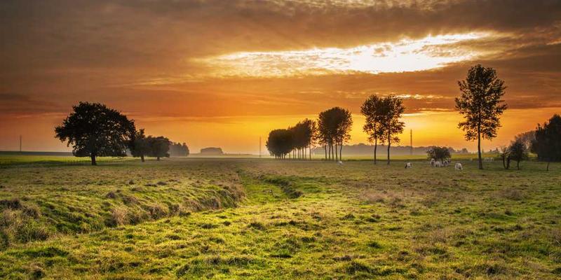 实验：用不同情绪状态，去解读同一则中性新闻，记录偏差