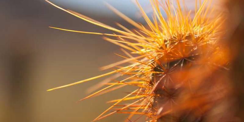 决策者深夜在工作，桌上堆满了文件和数据，背景是闹钟和时钟，表现出时间的紧迫感和决策者的焦虑情绪