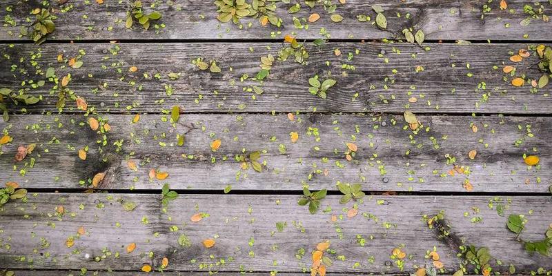 用AI复盘我的每一次争吵，它总能提供“更优解”，但这让我觉得自己更愚蠢