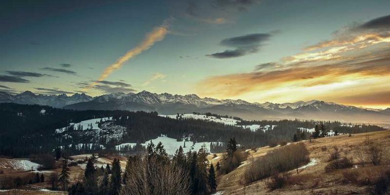 护眼行动指南：屏幕时代缓解视疲劳的实用方法