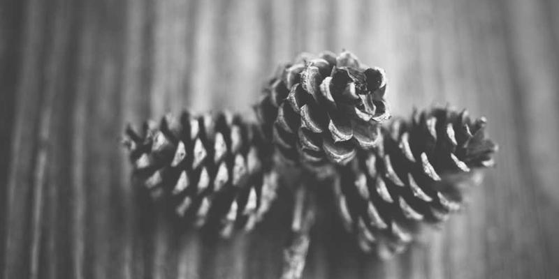 尝试用修复古旧钟表的手法与耐心，来修理一件廉价的现代塑料制品