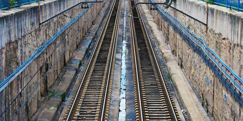 一位农民正在农田中查看“逻辑果实”的照片