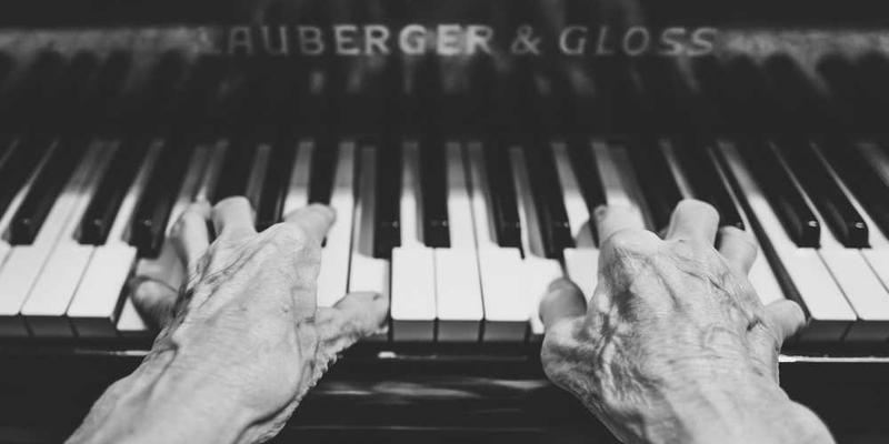 用蜘蛛网编织一本“被遗忘话语”的捕捉目录