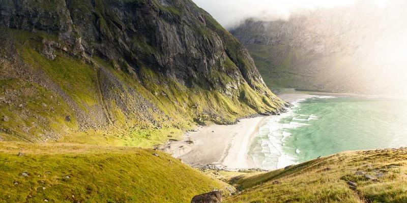 说明：一张社交平台时间线截图，标注不同颜色代表不同信息类别