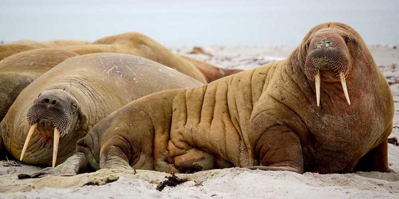 一位年轻人在与一台智能机器人对话，背景是繁华的城市街道，画面中充满了科技感和未来感