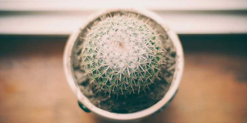 每年生日当天，给未来的自己录制一段一分钟的语音备忘录。