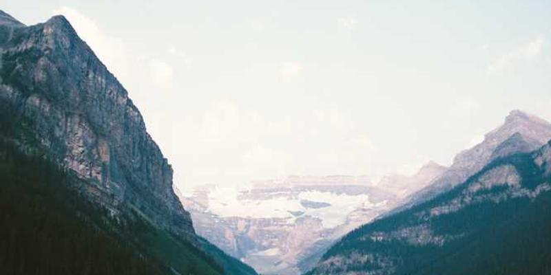 一个现代化的智能园艺AI助手，正在电脑屏幕前监控植物生长情况，旁边放置着番茄幼苗