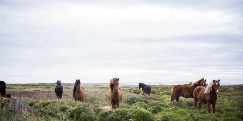 展示不同城市的空气滤芯和颗粒物分析仪器