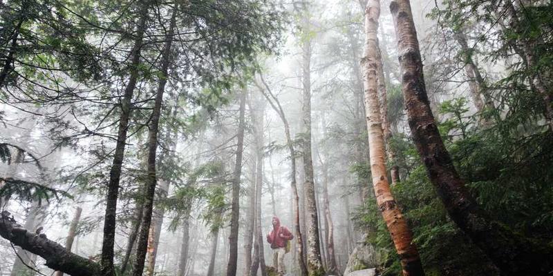 设计灵感的象征，如彩色的画笔和创意火花