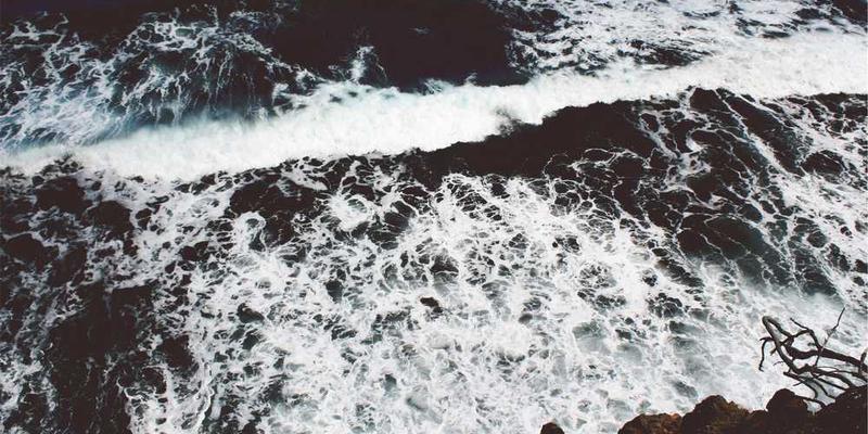 想象你的记忆宫殿不是一个静态建筑，而是一个不断生长、变形的有机体