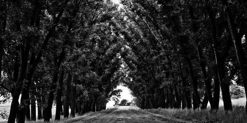 说明：一张展示三维全息图般技能树的示意图，节点之间可以自由旋转、缩放和重新连接，呈现出丰富多彩的技能组合。