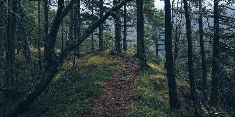 美团生活界面截图，展示团购、外卖和本地服务