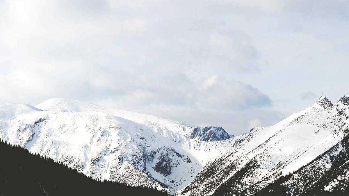 体育的未来：科幻与伦理的提前交锋